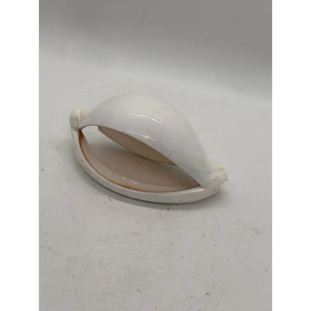 Large Natural Shell Napkin Ring Coastal Beach Table Decor Replacement Single